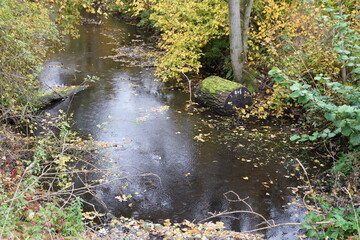 Regnerischer Herbsttag