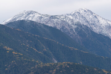 Fototapeta na wymiar 紅葉と雪山　南アルプス聖岳