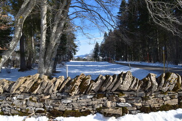 Traditional Swiss wall 