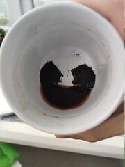 tea with mint and chocolate