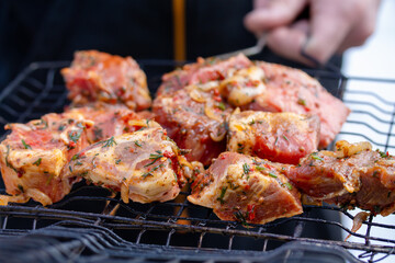 Raw marinaded juicy pork meat in grill grates. Fresh food prepared for barbeque. Summer cooking outdoors