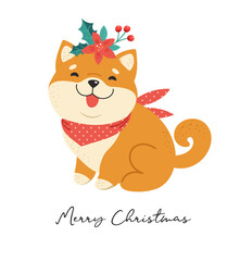 Merry Christmas illustration with Shiba Inu, Japanes, Korean dog. Funny puppy with a Christmas accessories. Vector greeting card