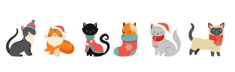 Collection of Christmas cats, Merry Christmas illustrations of cute cats with accessories like a knitted hats, sweaters, scarfs 