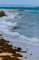 浜辺の波
