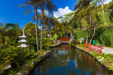 Fototapeta na wymiar Monte Tropical Garden - Madeira Portugal