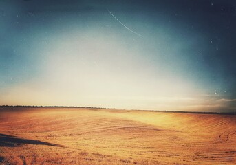 sunset over the field