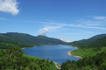 Naklejka na ściany i meble 緑と青空と野反湖 (群馬県・中之条町)