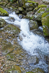 早春の雪解け水が谷川に