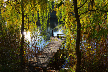 A view of river bathed in golden light with a wooden pontoon and a weeping willow tree. Beautiful...