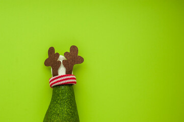 Avocado green in a New Year's cap on a green background, selective focus. Christmas concept. Copy space.