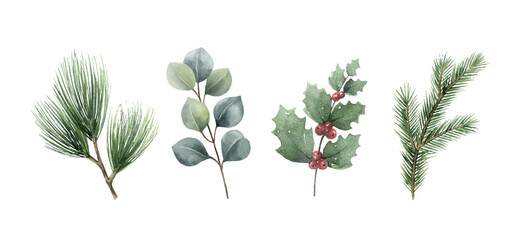 Fototapeta na wymiar Watercolor vector Christmas set with fir branches and eucalyptus.