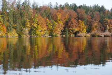 Autumnal Reflections in the Lake. High quality photo