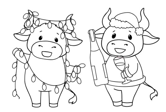 Set of two cartoon cow wearing Christmas costume. Contour vector illustration for children coloring book.