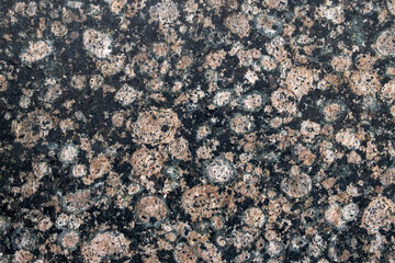 red-black-gray marble stone slab with round spots. rough surface texture