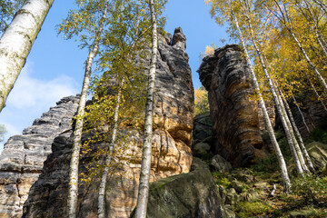 Herbst Sächsische Schweiz Sachsen Blätter Felsen Wald Weg Spazieren Spaziergang Autumn