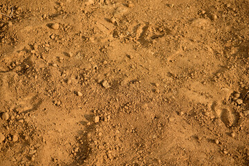 Soil soil texture background in garden