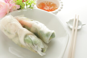 homemade Vietnamse rice paper summer roll