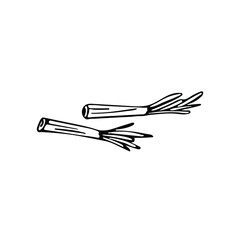 Hand drawn leeks in doodle style. Isolated on a white background.
Idea for logo, culinary design, food menu. Black and white vector image.
