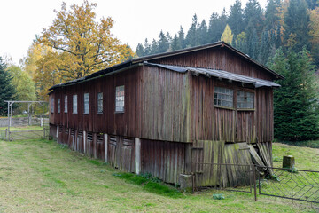 Herbst S&auml;chsische Schweiz Sachsen Bl&auml;tter Felsen Wald Weg Spazieren Spaziergang Autumn