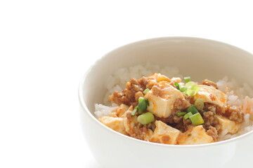 Chinese food, Mapo tofu spicy mince pork on rice