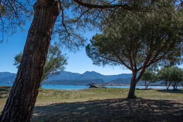Fototapeta na wymiar View of Saint-Florent village in Corsica accross trees