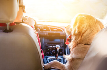 Woman driving car with golden retriever