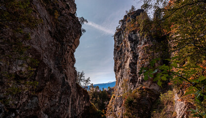 tree on the rocks,ehnbachklamm zirl,2020.