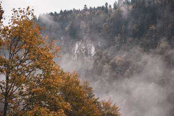 Nebel im Herbst in Bayern