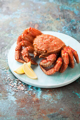 Boiled hairy or horsehair crab on a wooden plate, selective focus
