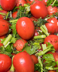 Tomatoes, spices dill, parsley, pepper, cloves, Bay leaf, celery, garlic, close-up, background,  space copy,