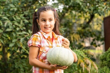 Fototapeta premium Happy Halloween, Cute little with a pumpkin in the hands.