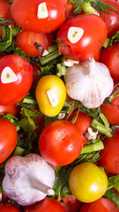 Tomatoes, spices dill, parsley, pepper, cloves, Bay leaf, celery, garlic, close-up, background, space copy,