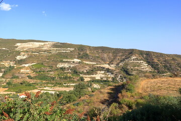 Vineyards on the slopes of the Troodos Mountains near Agios Amvrosios. Sunny summer day in Cyprus.