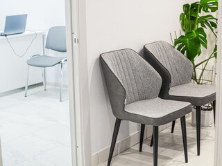 Two empty gray designer chairs and green houseplant in the foreground in a medical waiting room in a white clinic interior. Open doctor's office background