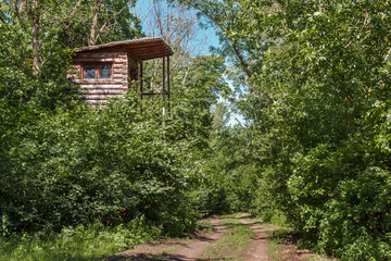 Fototapeta na wymiar Wooden hunter watchtower in green summer forest on roadside of unpaved rural track