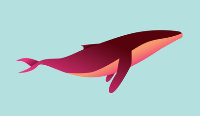 illustration of a whale