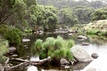 Naklejka premium Beautiful landscape alongside the Thredbo river in Kosciuszko National Park located at Snowy Mountains area of NSW, Auatralia.