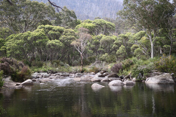 Fototapeta na wymiar Beautiful landscape alongside the Thredbo river in Kosciuszko National Park located at Snowy Mountains area of NSW, Auatralia.