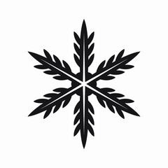 Snowflake icon vector