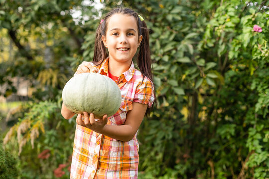 Playing outdoors cute little girl holding a pumpkin