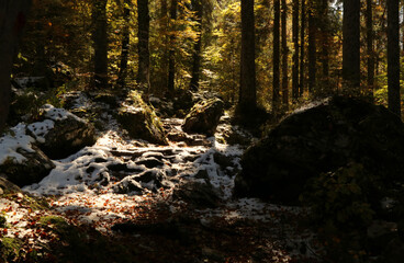 Autumn in the Fusine lakes Natural Park, Italy