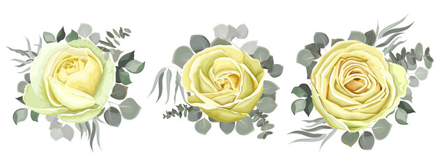 Set of flowers on a white background. Compositions of white roses, green plants and leaves, eucalyptus. All elements are insulated.