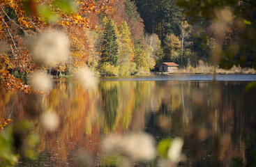 Afternoon Light at the Lake in October
