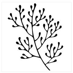 Branch, isolated hand drawn black and white vector illustration on white background