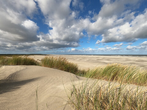 Dunes of island Schiermonnikoog in the Netherlands