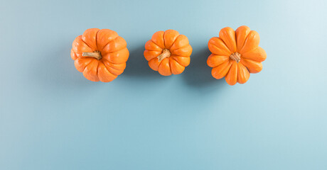 Thanksgiving background decoration from pumpkin on  pastel blue background. Flat lay, top view with copy space.