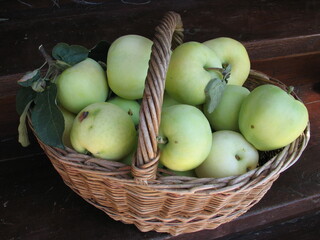 he basket of apples
