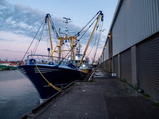 Fishing boat at the harbor of IJmuiden in the Netherlands - obrazy, fototapety, plakaty
