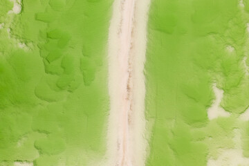 The green saline lake, natural lake background.