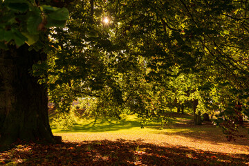 Herbstliche Impressionen aus Schleswig-Holstein im Oktober.